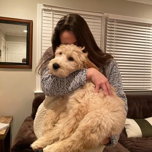 Meet your Posher, Fabiola